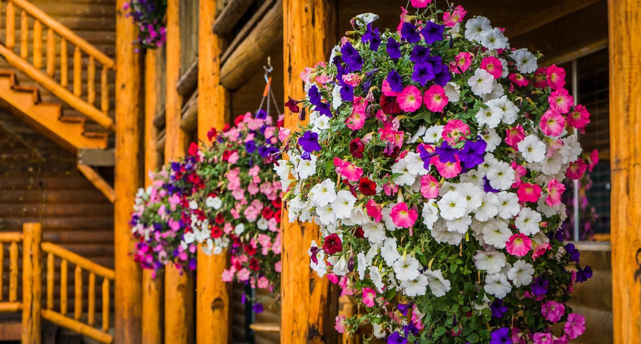 River Lodge Айлънд Парк Екстериор снимка